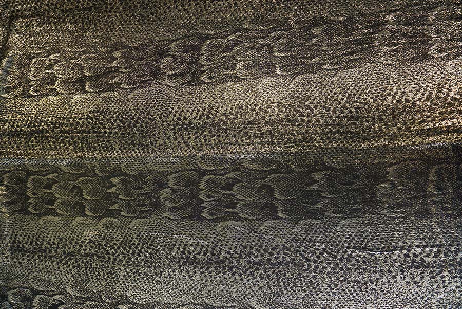 01 COUTURE LUREX PANAMA.16 SETA 01 COUTURE LUREX PANAMA.16 SETA