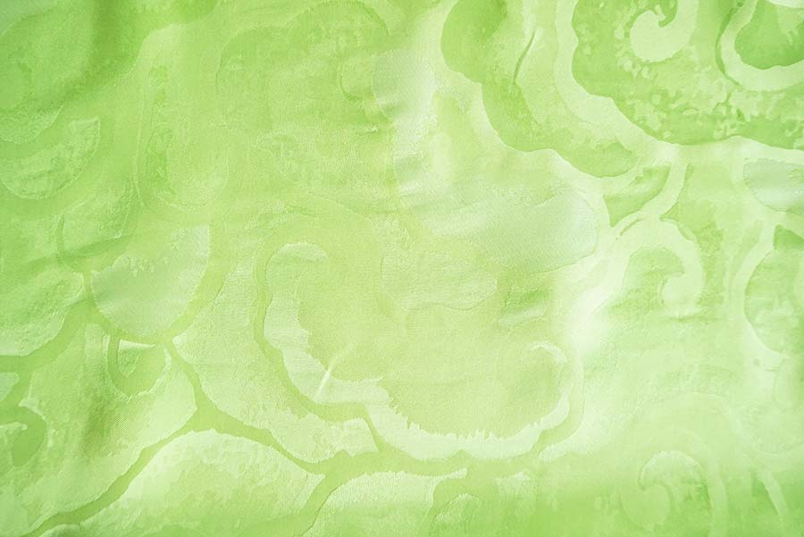 01 COUTURE RASI JACQUARD FNC.406 SETA 01 COUTURE RASI JACQUARD FNC.406 SETA