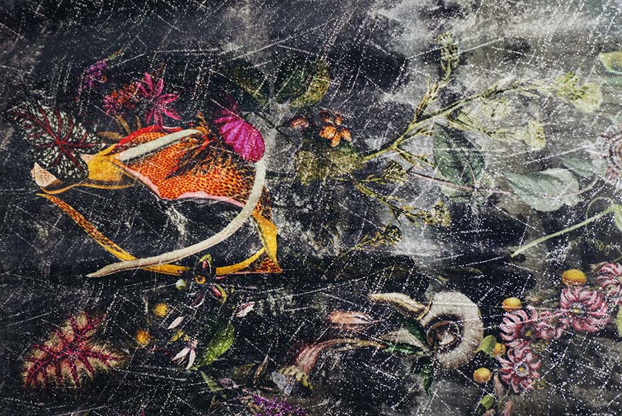 01 COUTURE VELLUTI STAMPATI EMPOLI.108.354M VISCOSA 01 COUTURE VELLUTI STAMPATI EMPOLI.108.354M VISCOSA