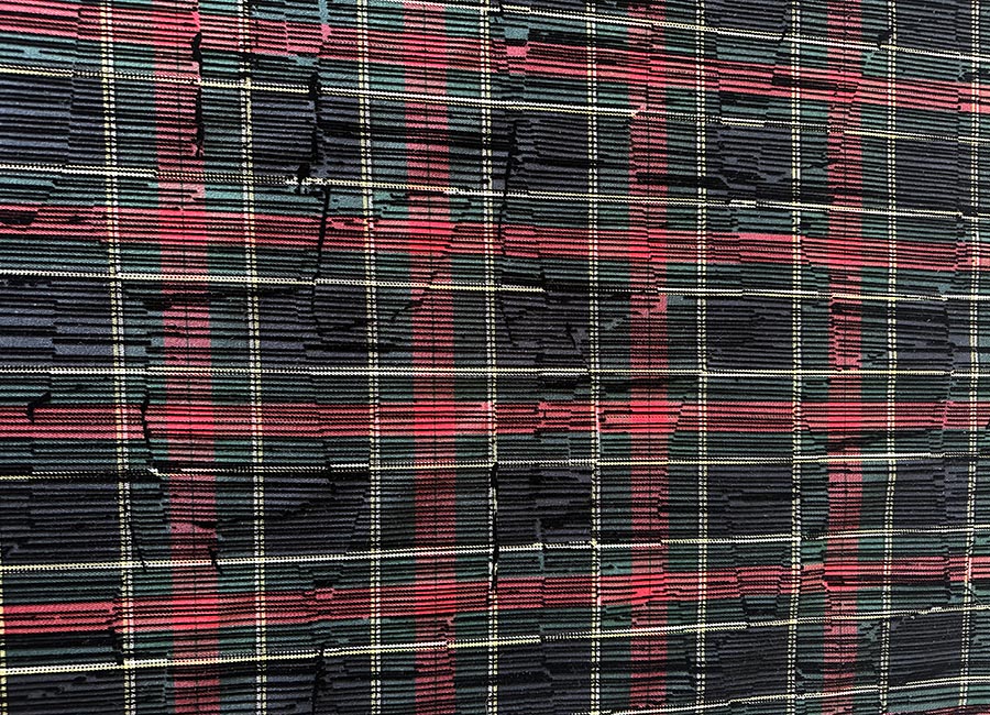 02lione11stampaflockpoly