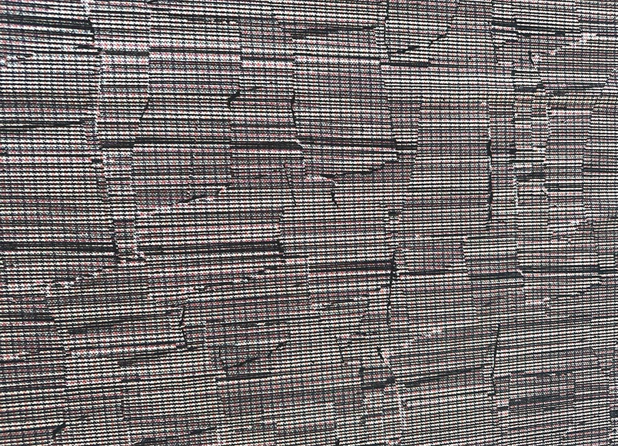 02lione14stampaflockviscosa