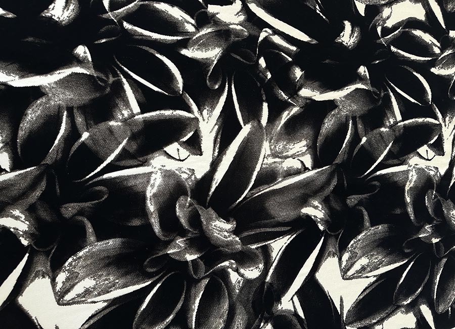 02lione40stampaflockacetato 02lione40stampaflockacetato