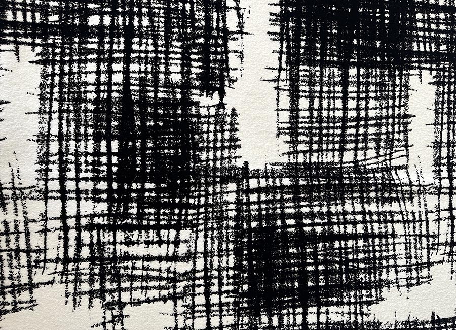 02lione48stampaflockpoly