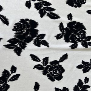 02lione51stampaflocklana