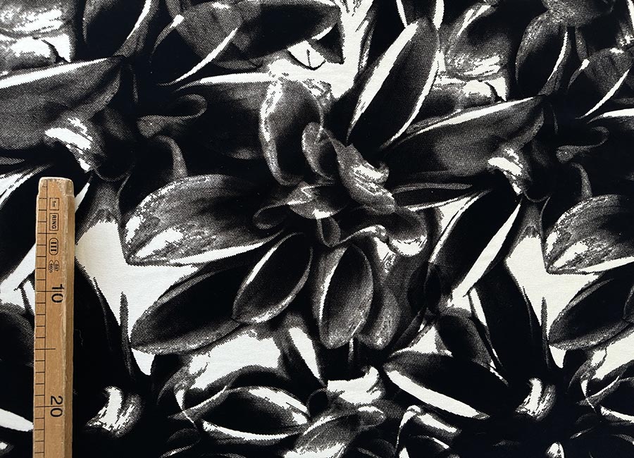 03lione40stampaflockacetato 03lione40stampaflockacetato