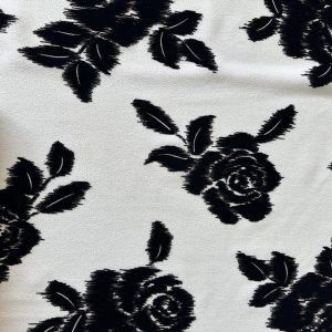 03lione51stampaflocklana